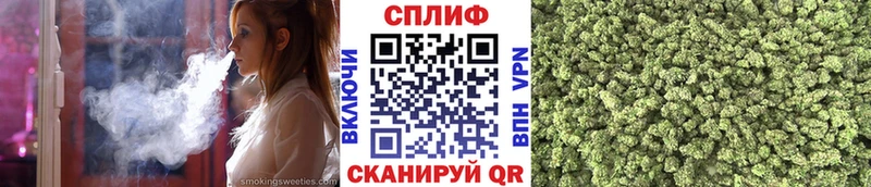 Бошки Шишки семена  наркотики  Лосино-Петровский 